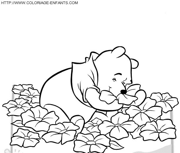 Winnie The Pooh coloring