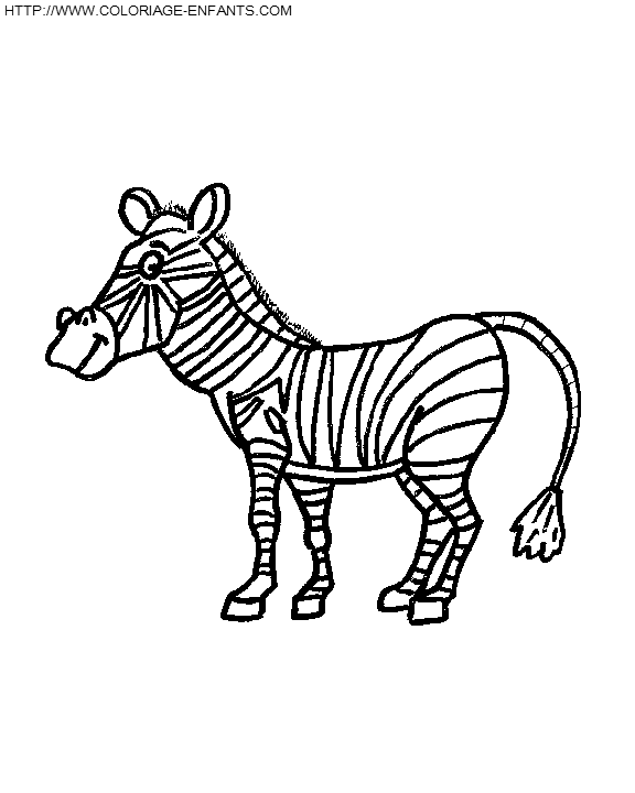 Zebras coloring