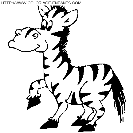 Zebras coloring